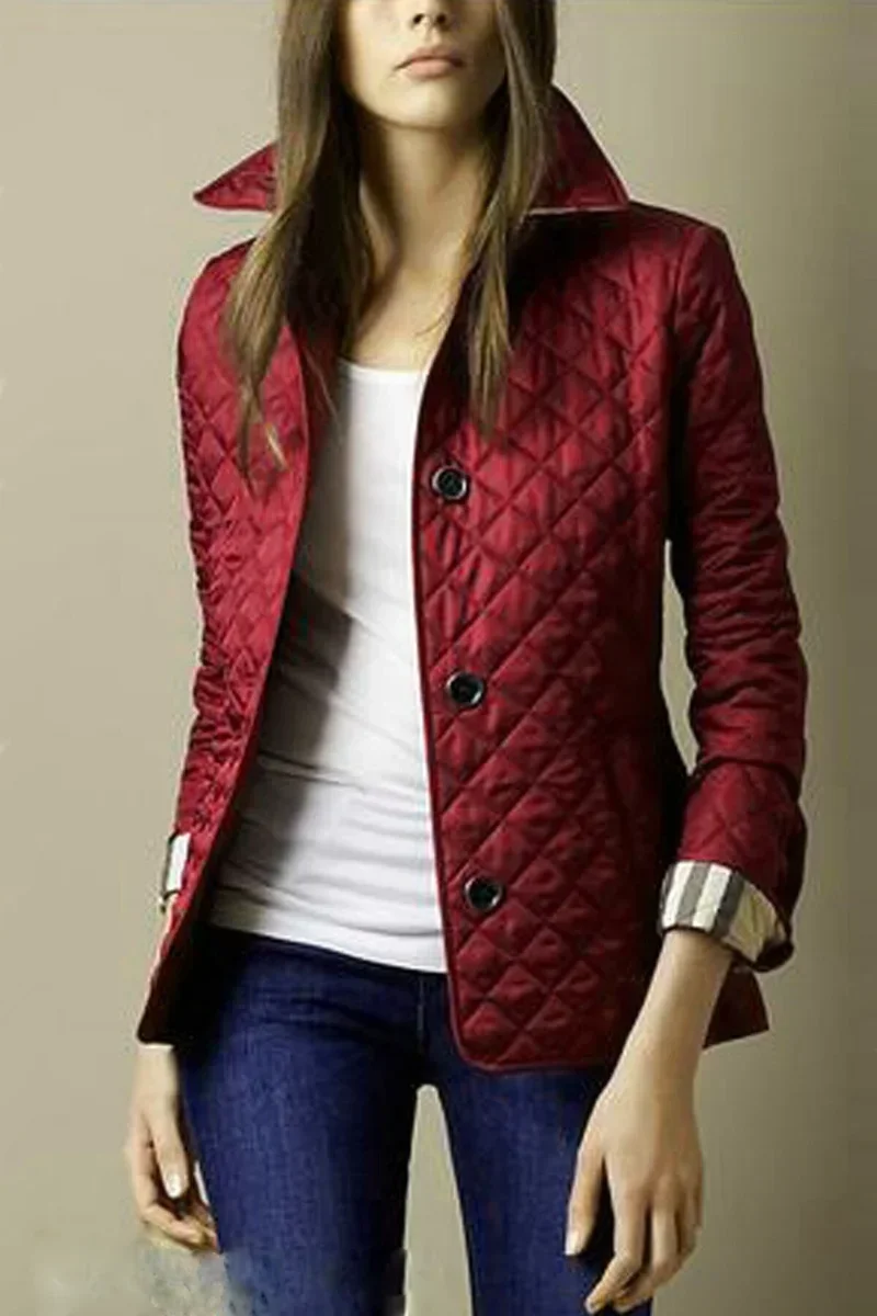 Autumn and Winter Lapel Dress Small Cotton Jack Female New Fashion Single-breasted Temperament Slim Silk Warm Jacket