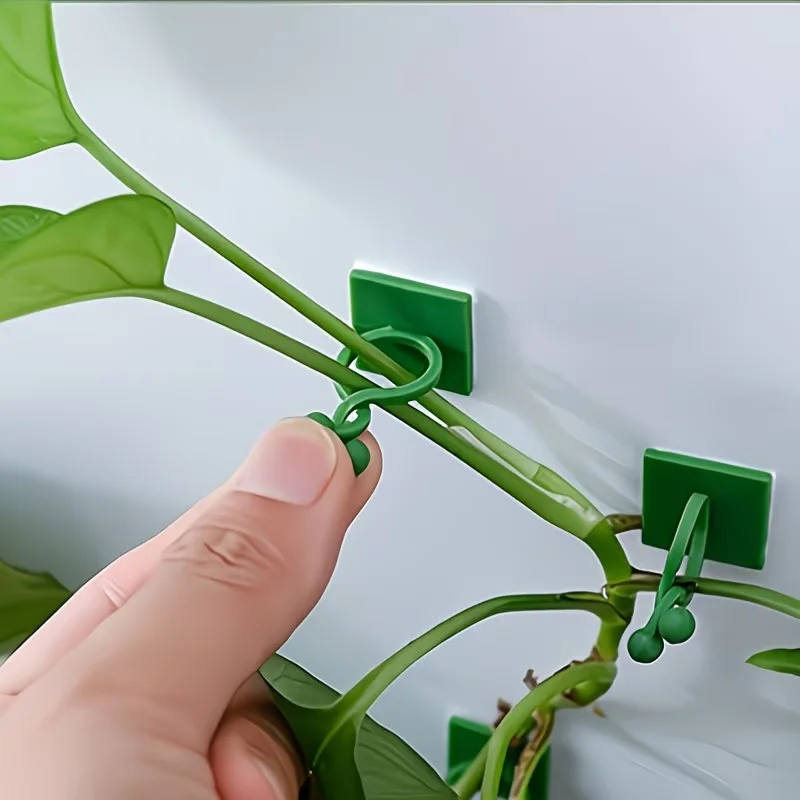 Lot de 20 crochets muraux pour plantes grimpantes en lierre vert, supports invisibles en plastique autocollants pour la décoration de jardin et d'intérieur