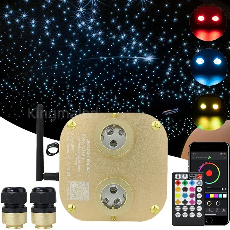 Dual Heads 20w RGBW Twinkle Fiber Optic Light Source app Music Controller LED Engine Driver for Starry Sky Car Star Roof Light