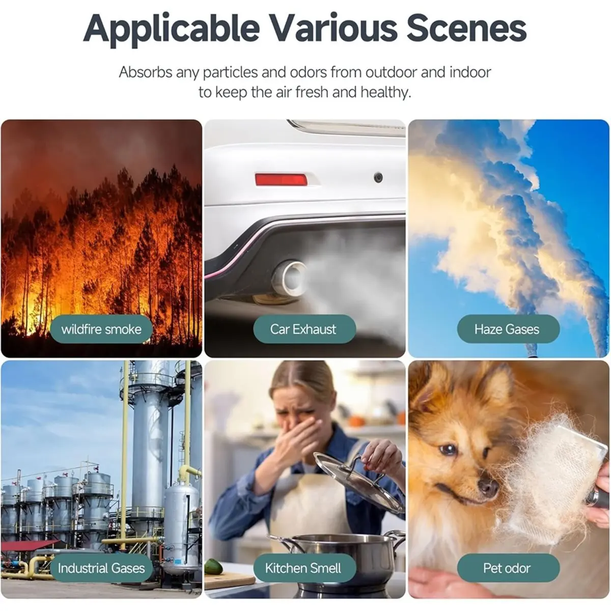 4Pack Pre-Filter Fo… - image