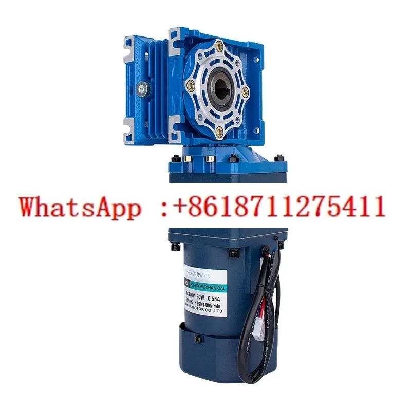 RV40 220V 60W AC Two-stage Worm Gear Dual Output Shaft Motor with Self-locking Function with Speed Regulator CW CCW