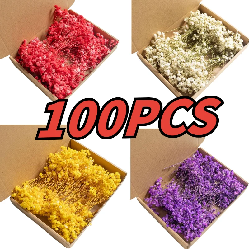 100 STKS Mini Gedroogde Gypsophila Bloem DIY Aromatherapie Valentijn Bruiloft Foto Prop Decor Home Decor Eeuwige Bloemen