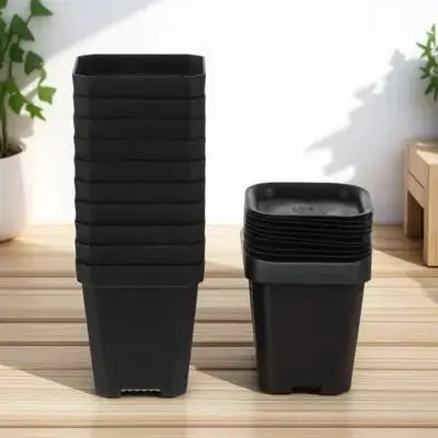 

10Pcs Black Square Plant Pots Plastic Flowerpot Durable Germination Planter Thick Saucers for Home Garden Office Decoration