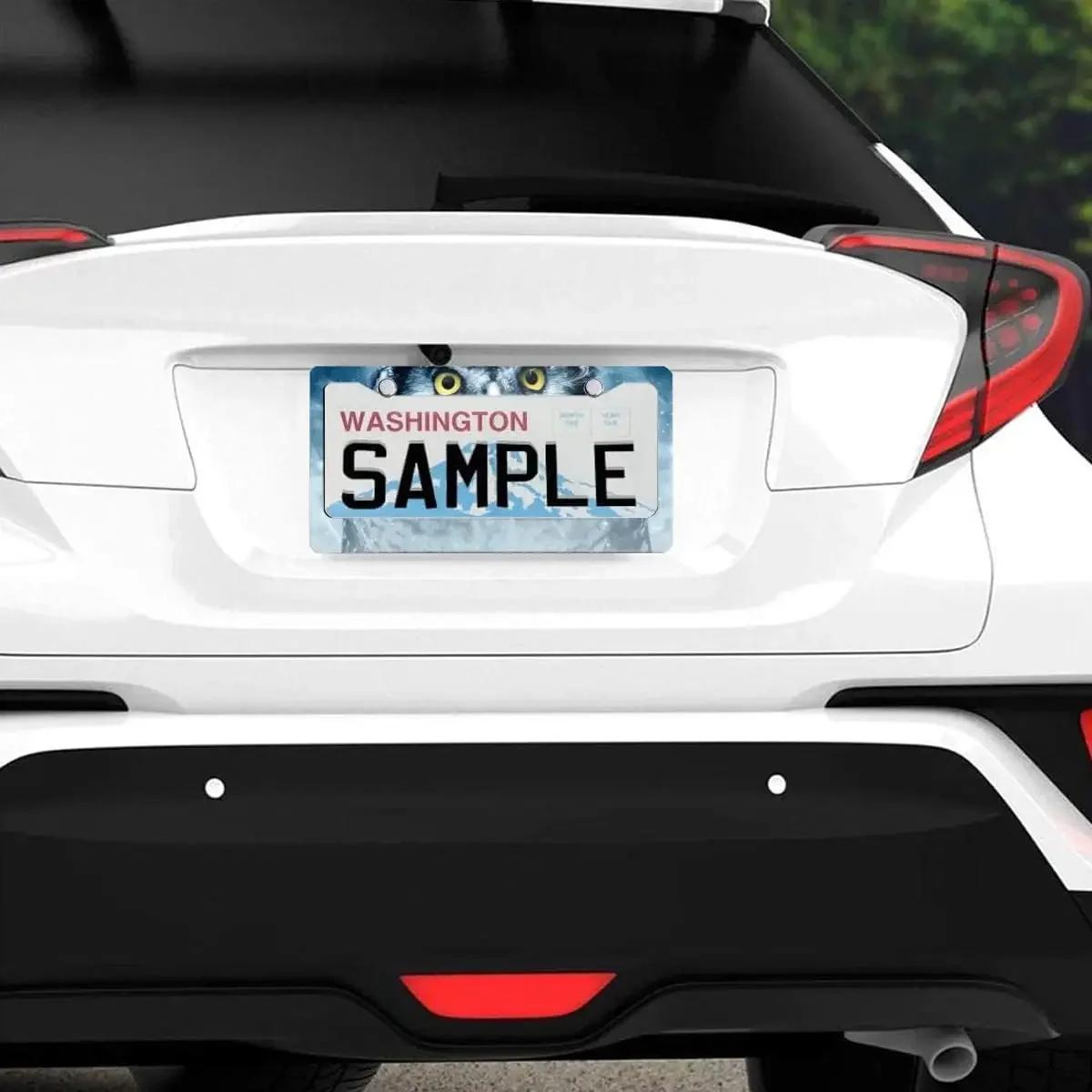 Owl Eyes 2pcs License Plate Frames Universal Novelty Plate Holder Tag Sign 12" x 6" Car Exterior Accessories for Us Vehicles image 4