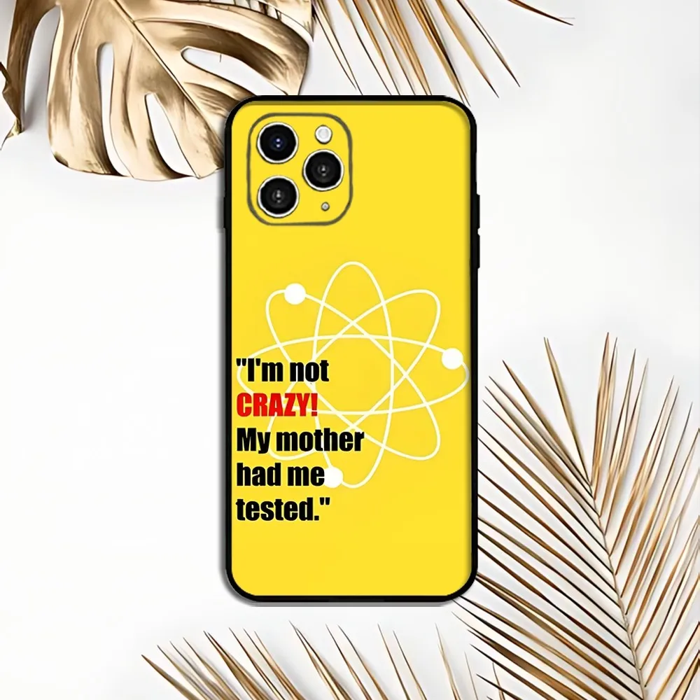 The Big Bang Theory Phone Case For Iphone 16 15 11 13 14 Pro Max 7 8 Plus X Xr Xs Max 12mini Cover Case