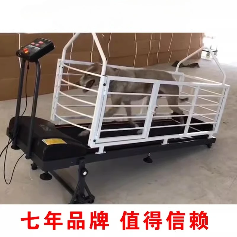 جهاز سير للكلاب، جهاز سير للحيوانات الأليفة، جهاز مشي للكلاب، كلب الوبت، رفيع، Gree، معدات تدريب الجري الكبيرة