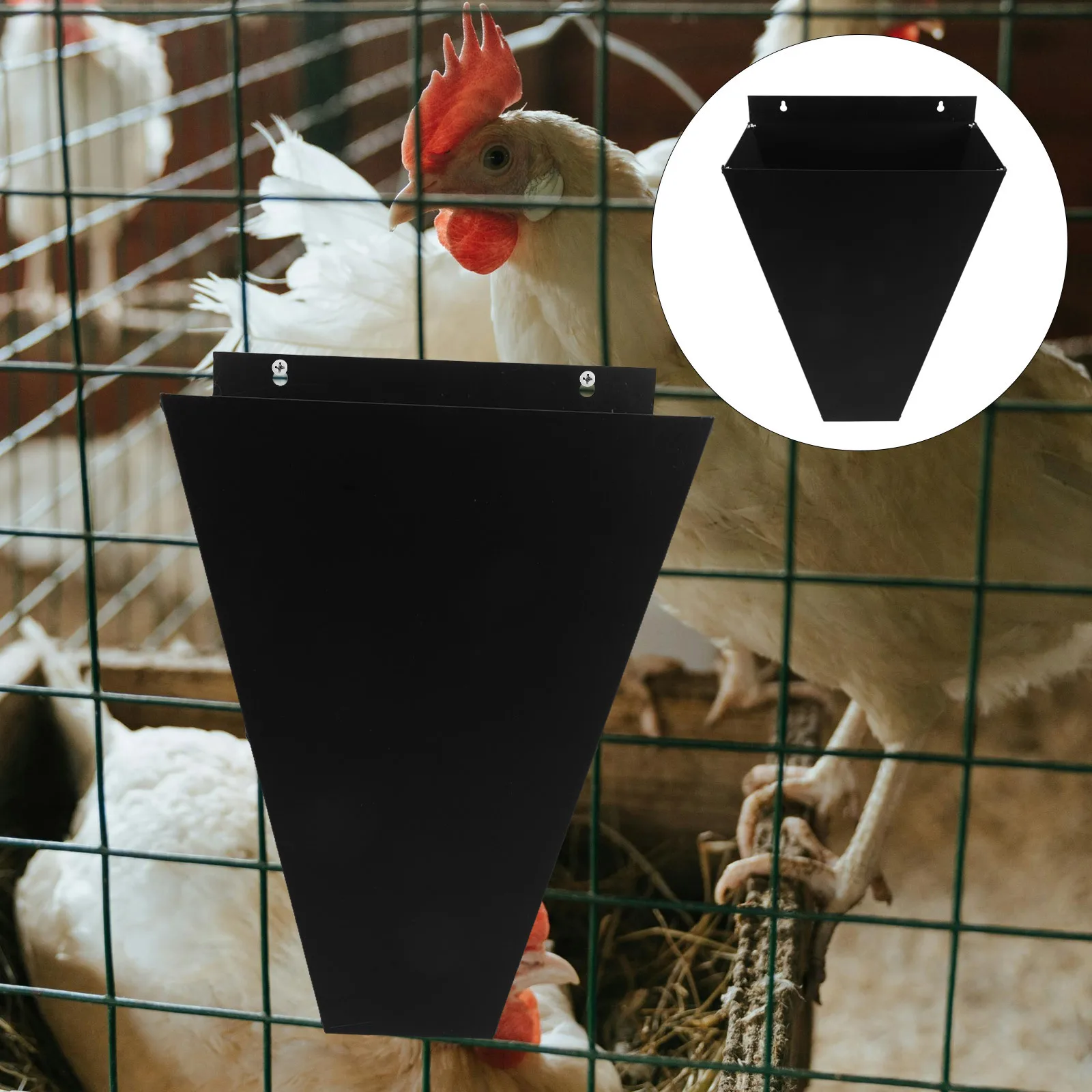 

Poultry Restraint Cone Metal Bleeding Funnel for Small Roosters Large Chickens Chicken Slaughtering Equipment Chicken Kill Cone