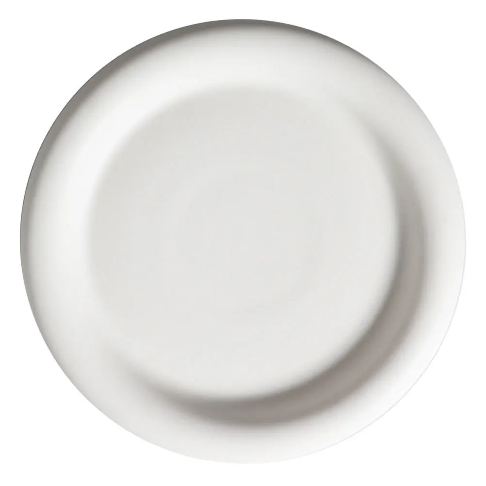 

Pasta Plate Steak Plate Ceramic Plate Food Storage Plate Food Container