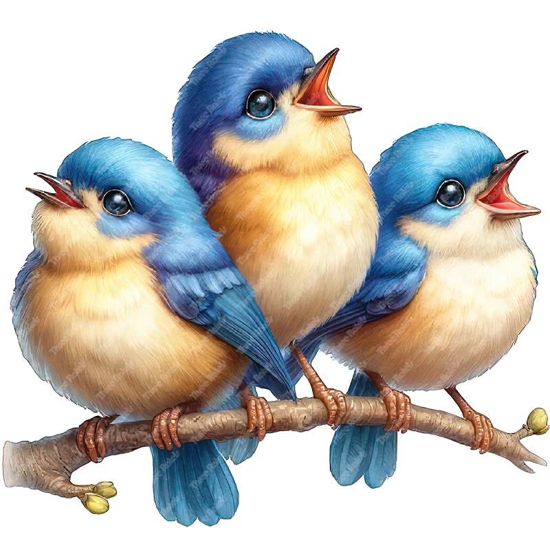 Three Ratels QN64 Funny cartoon bird children's bedroom bedside wall stickers kindergarten decoration stickers