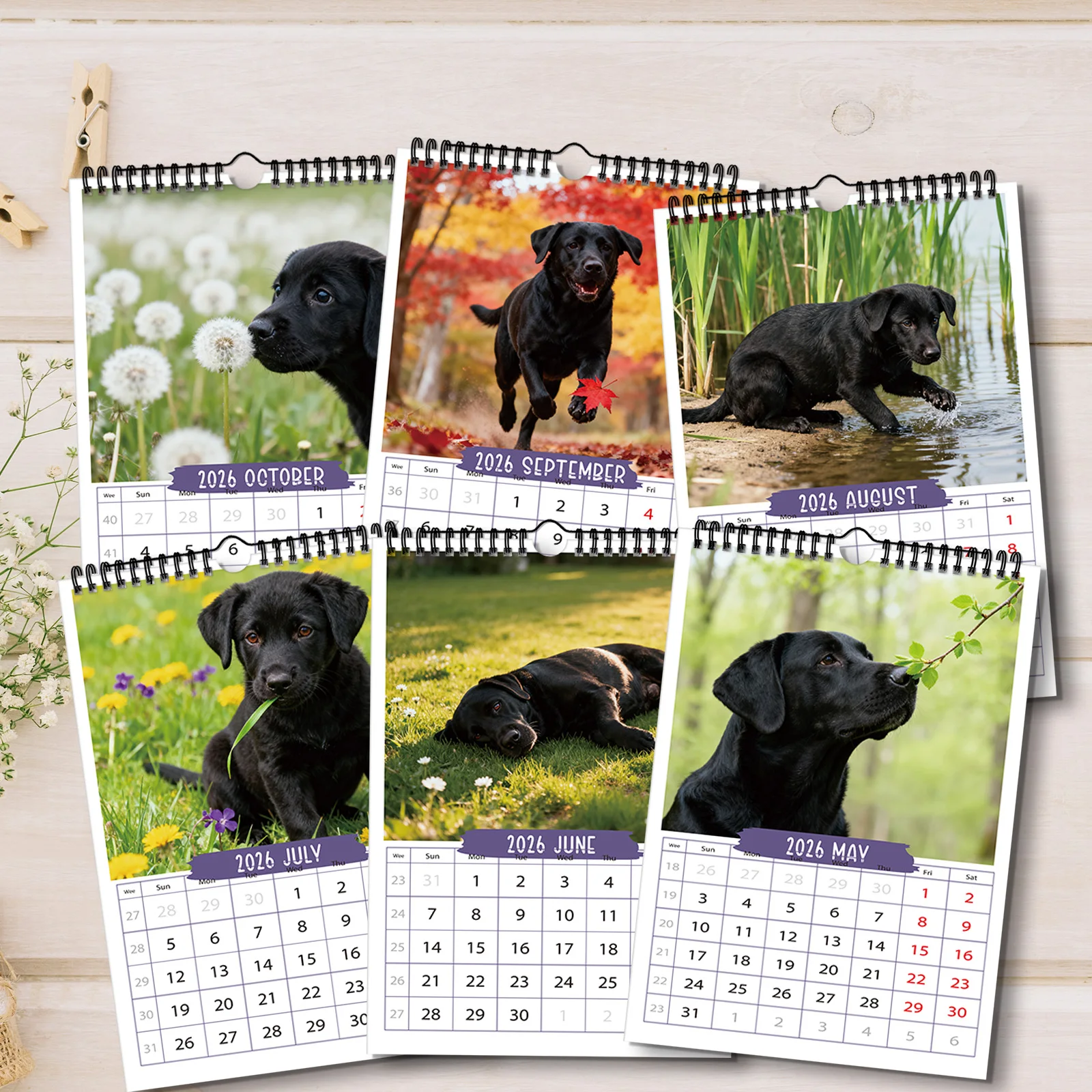 ปฏิทินสุนัขสีดำและมีพลังที่น่ารัก 1 ชิ้น เหมาะสำหรับการตกแต่งห้องนั่งเล่น เหมาะสำหรับคนรักสัตว์เลี้ยงที่มีความเสถียรทางอารมณ์