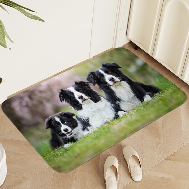 Border Collie Dog Entrance Door Doormat Carpets for Living Room Kitchen Foot Mat Laundry Room Rug Bathmat Room Decorating Items