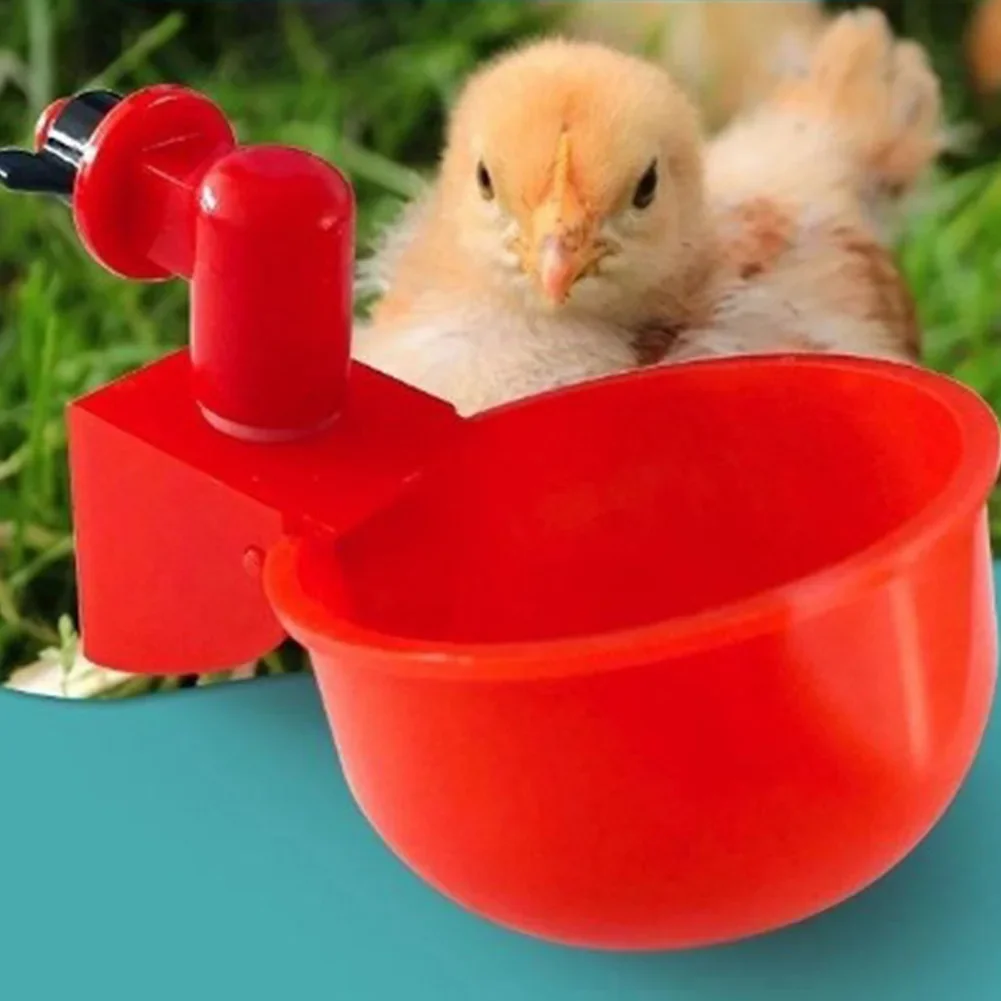 6-60PCS Chicken Duck Drinking Bowl Automatic Chick Ducks Drinker Plastic Feeder Poultry Farm Water Drinking Cups Easy Install