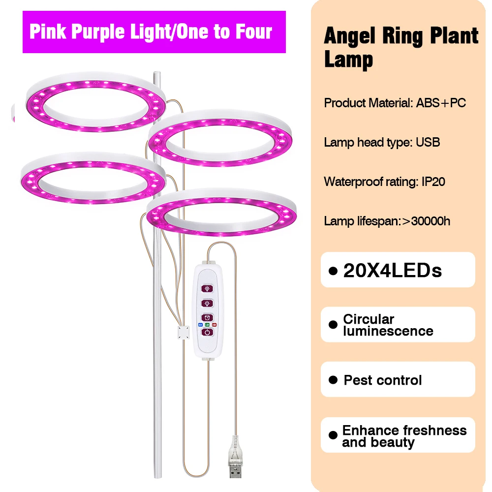 Pink Light 4 head