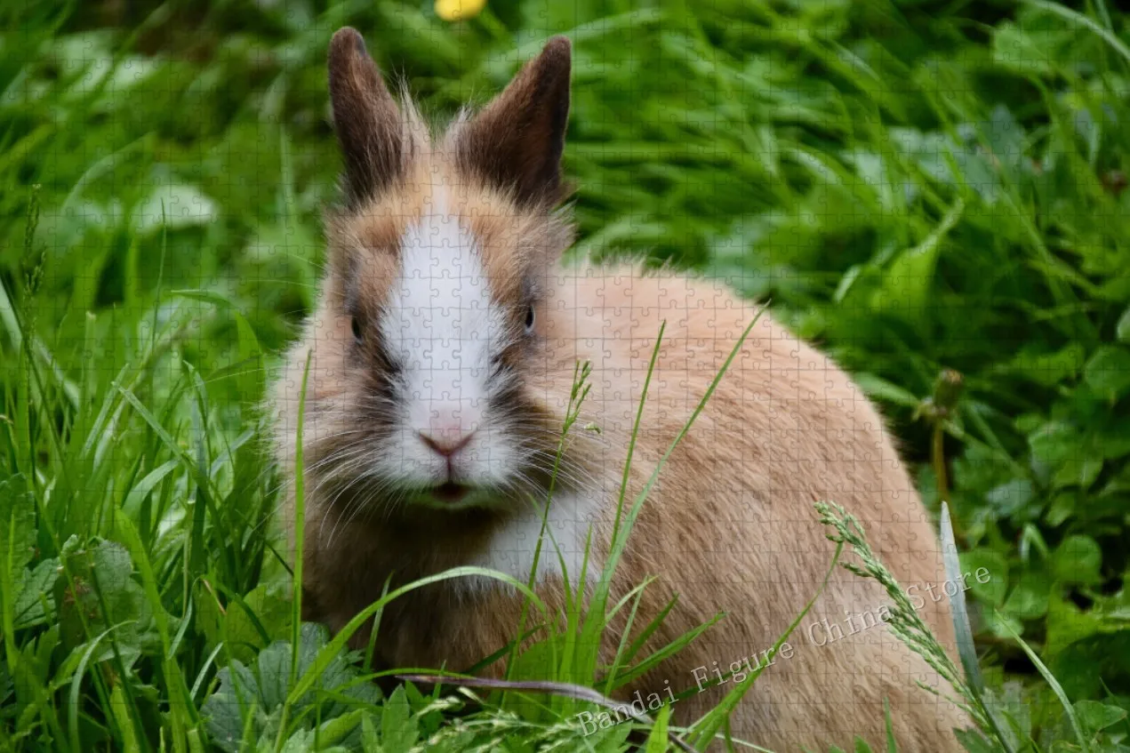 Coelho de estimação bonito 35/300/500/1000 peças quebra-cabeça gato animais paisagem impressão quebra-cabeça família educacional crianças jogo brinquedos presentes