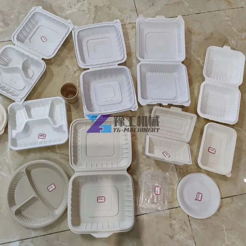 Disposable Biodegradable Sugarcane Bagasse Paper Tableware Making Machine Pulp Molding Machine Box Making Thermoforming