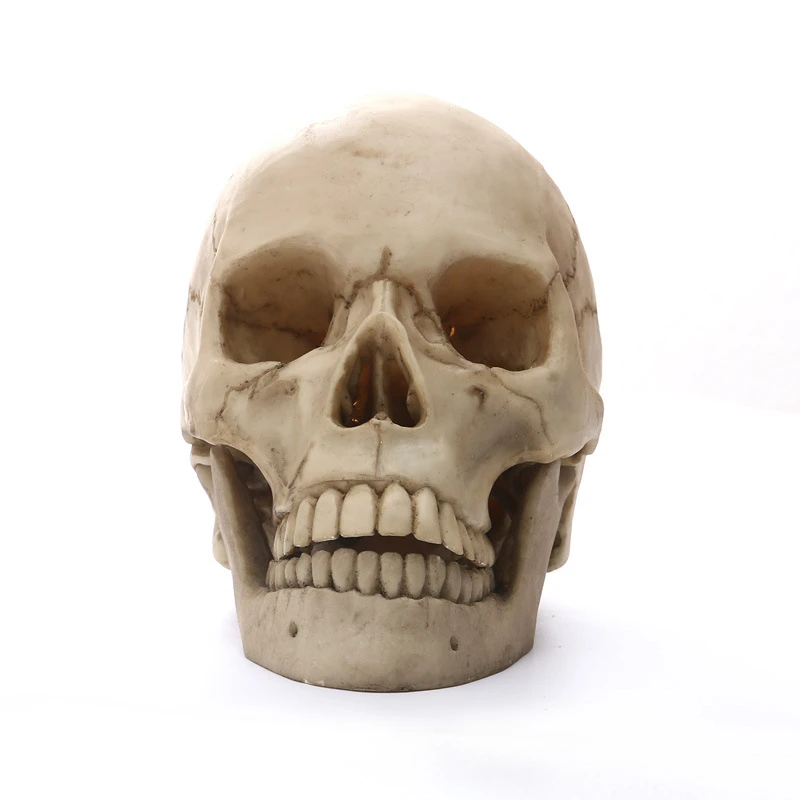 Human Head Skull Statue Resin Figurines Crafts Halloween Decoration Sculpture Medical Teaching Sketch Model  Free Shipping