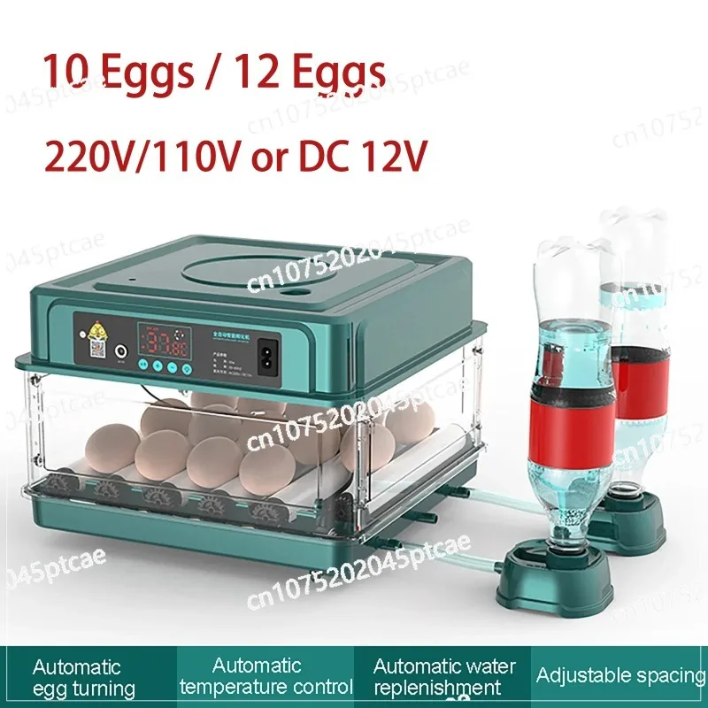 10 12 Eggs Incubator Temperature Control Auto Turner for Chicken Goose Bird Quail Incubation Equipment Hatchery Poultry Tool