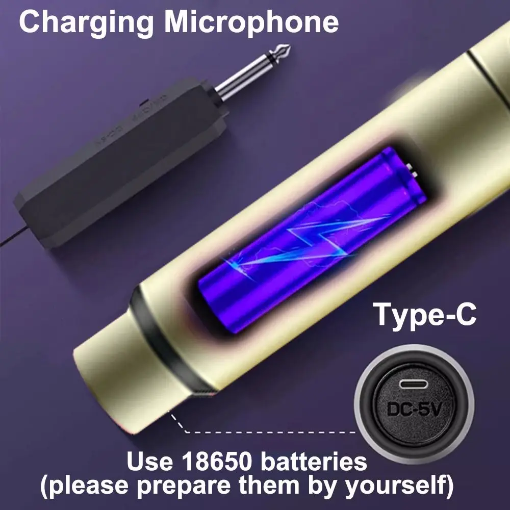 2 Channels Wireless Microphone UHF Fixed Frequency Clear Sound Condenser Microphone No Noise Handheld Karaoke Mic Micphone