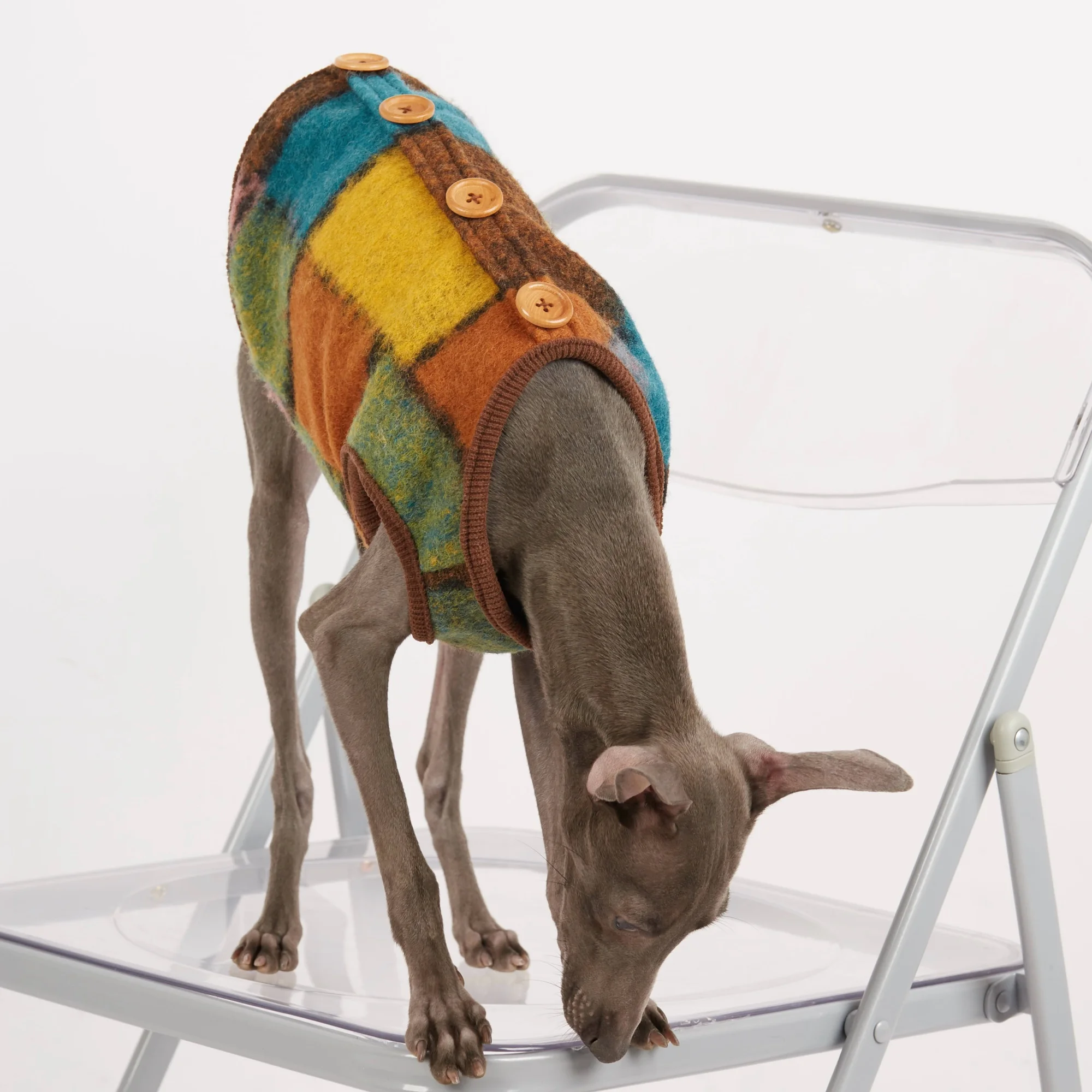 

Теплая зимняя куртка из фетровой ткани для борзых, элегантный красочный жилет на пуговицах для уиппета, осеннее пальто для итальянского борзых