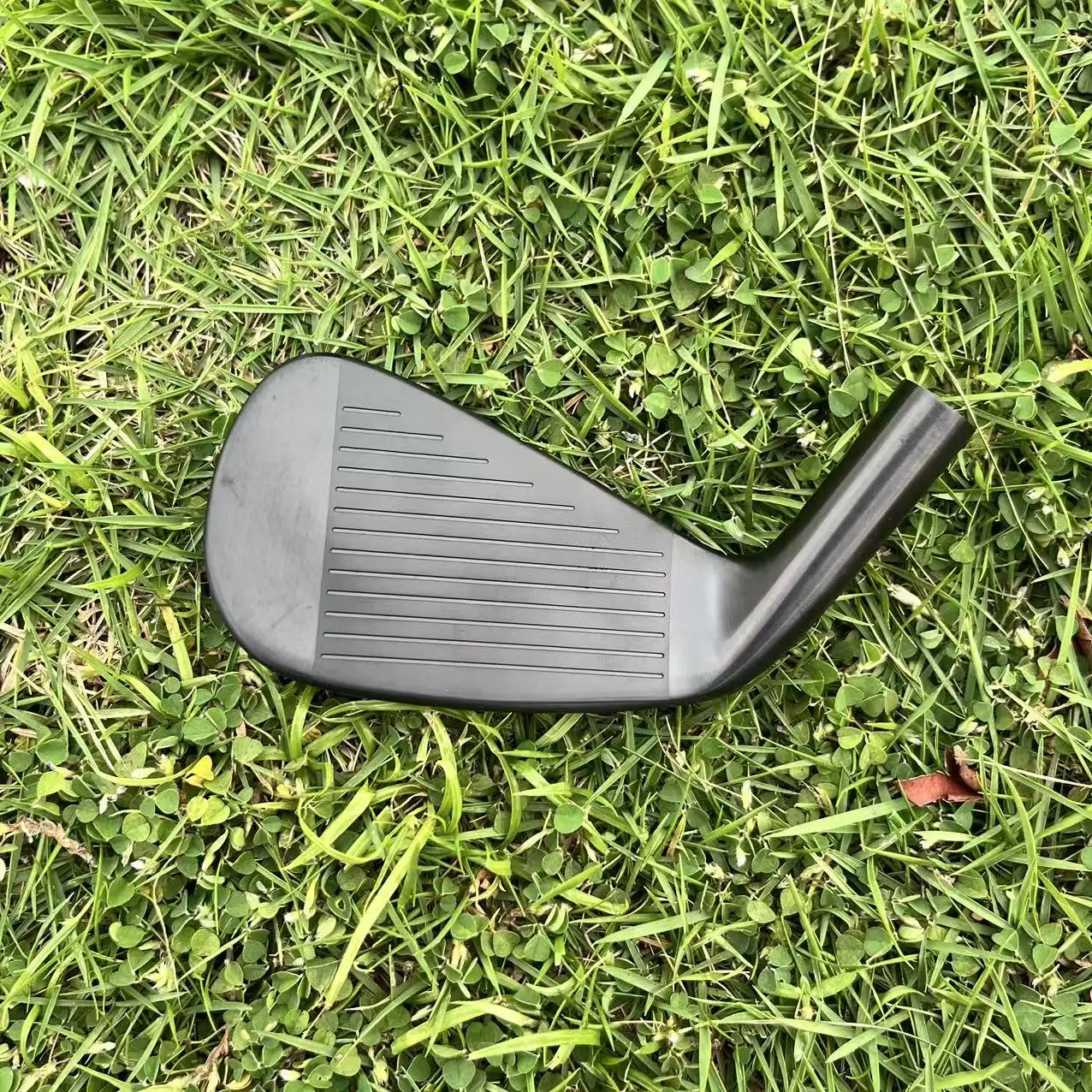 Vermilion Bird -800 CNC Golf Irons 6
