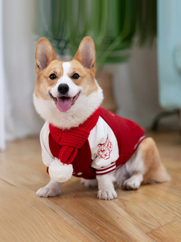 Pet Dog Clothes Autumn Clothes Keji Teddy Chai Dog Special Baseball Uniform Vest Coat Medium Dog Autumn Winter Pets Cloth