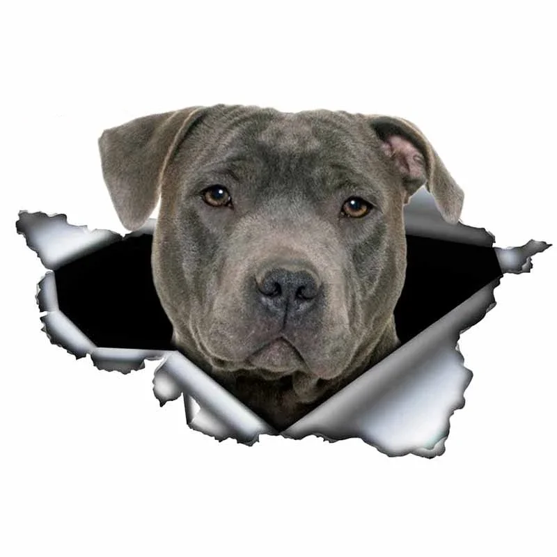 LYKX Blue Pitbull Dog Car Sticker Creative Torn Metal Decal Waterproof  StickersCar Styling Pet Car Decoration