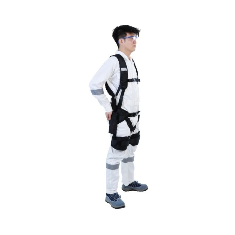 Metal back waist assist exoskeleton, elastic waist reinforced, thigh lateral assist, enhanced waist protection