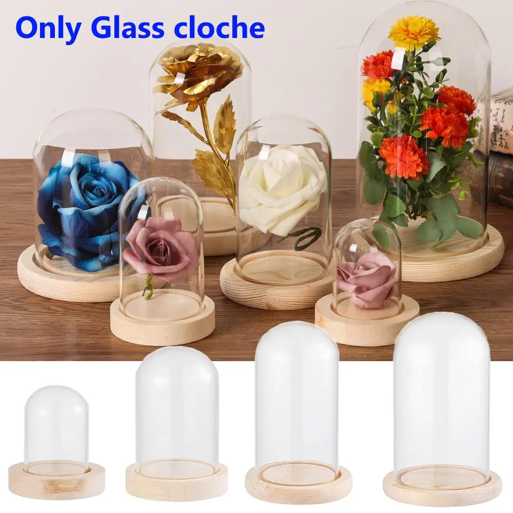 Glass Cloche Display Stand Cover Terrarium Bottle with Wooden Base Acrylic Dust Cover Display Box Transparent Plants Flower Box