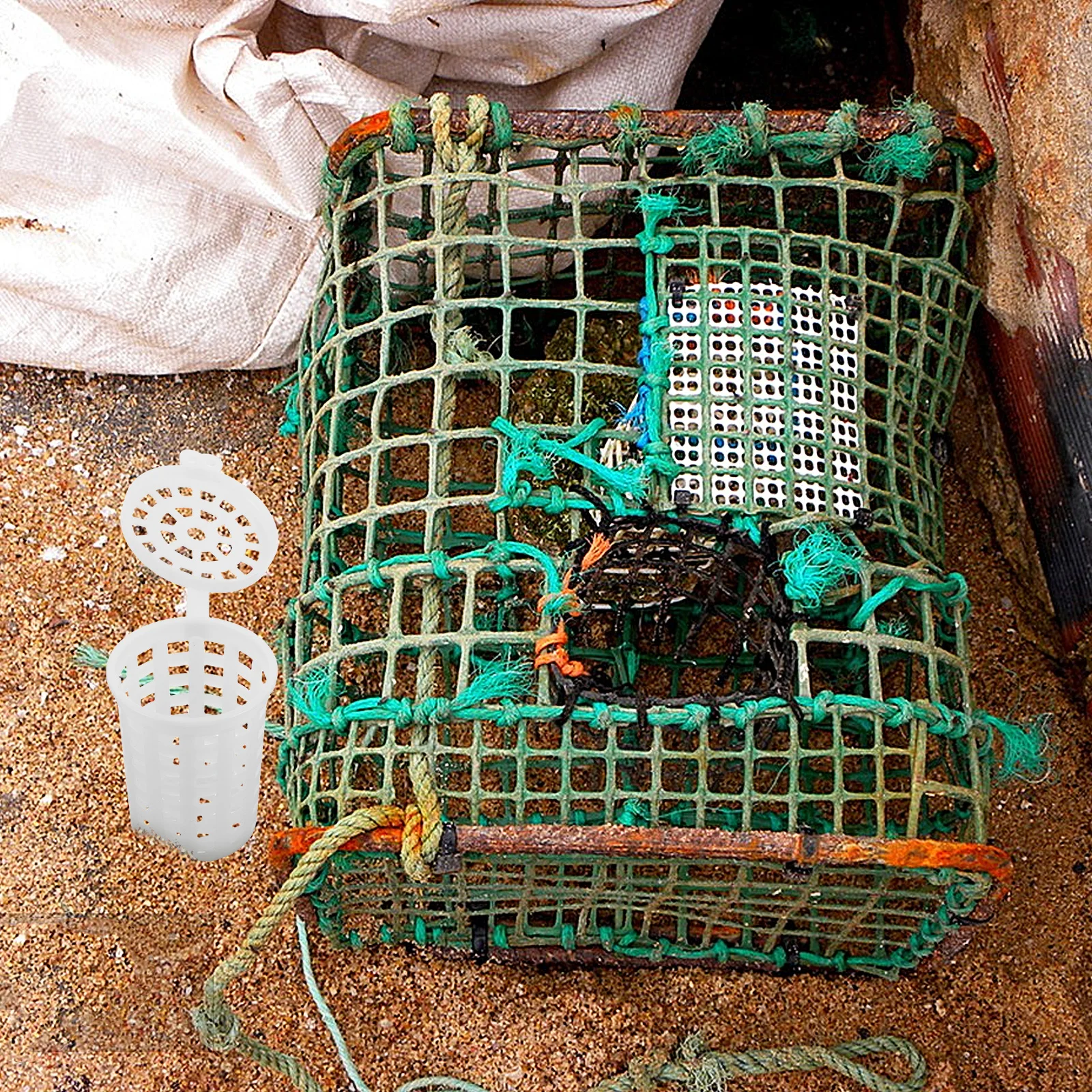 

10Pcs Large Bait Cage Shrimp Crab Trap Outdoor Fishing Portable Fishing Bait Basket Feeder Holder Trap Holder Carp Feeder