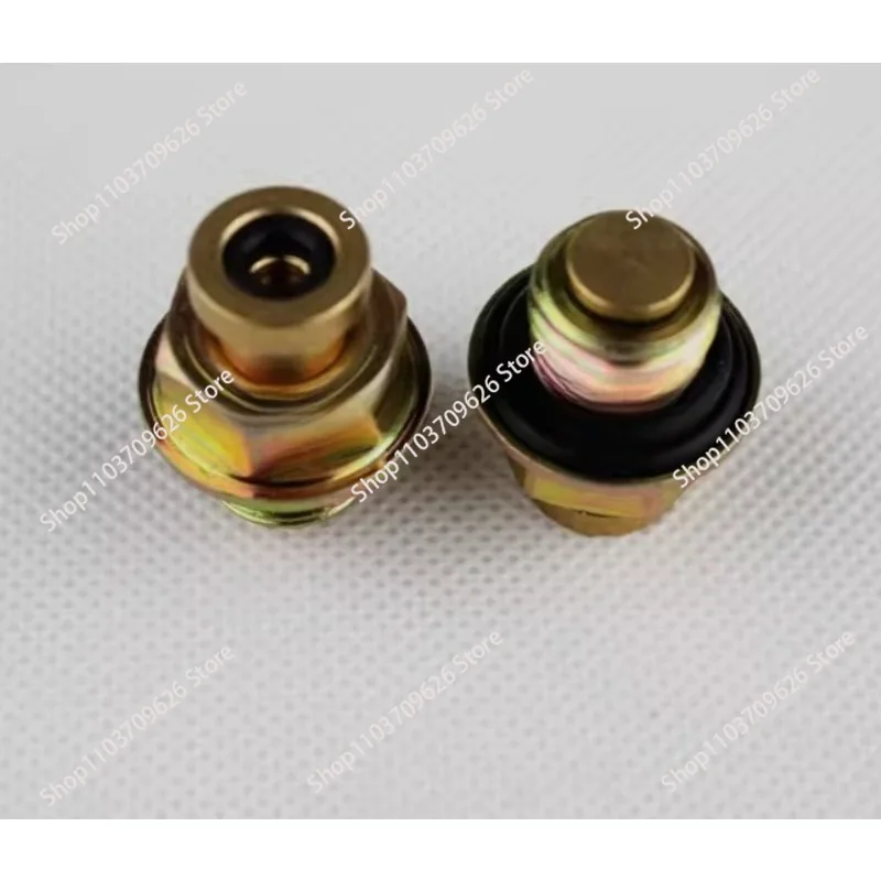 10pcs Thread High Quality Air Valve For Air Expanding Shaft Charging Port
