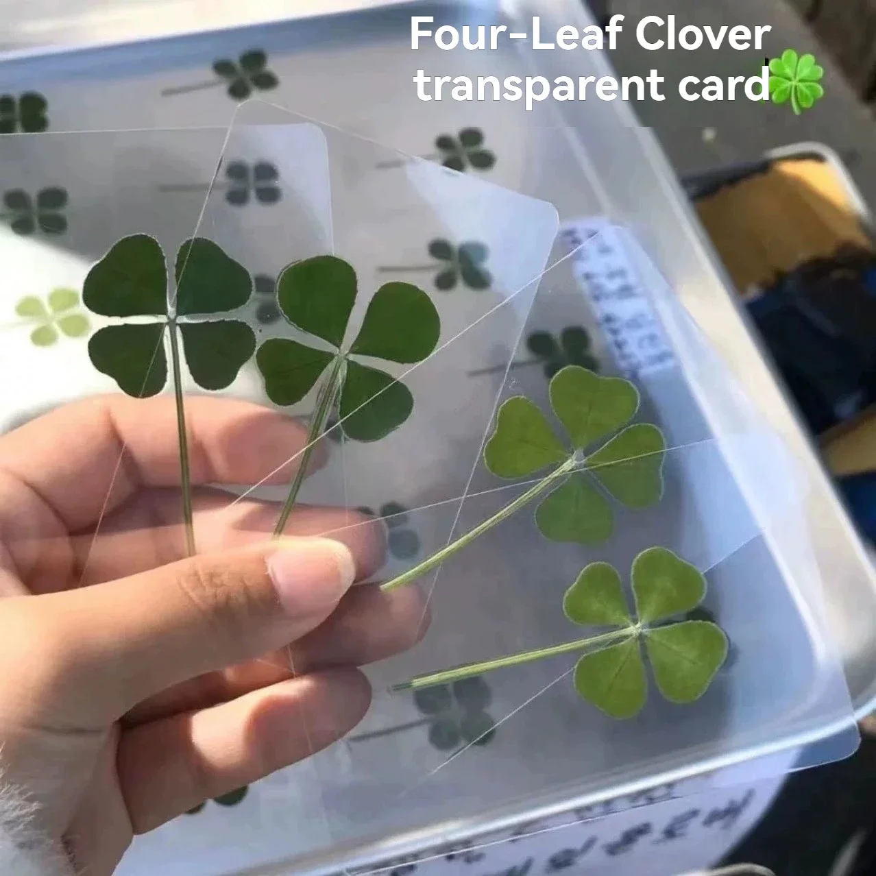 5/10Pcs Natural Lucky Four-Leaf Clover Transparent Postcards, Multi-use as Bookmarks, Art Decor, Holiday Gifts for Book Lovers