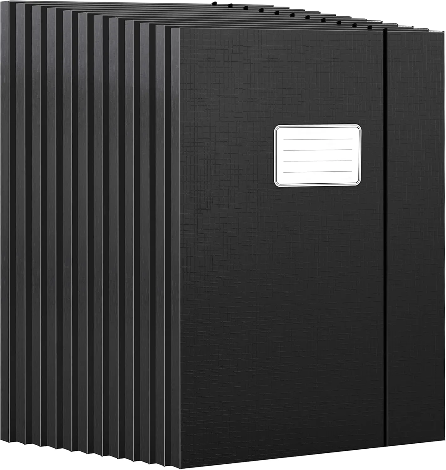 

Набор из 12 черных папок для документов с этикетками, 0,5x9x12,5 дюймов, для организации документов в офисе и школе