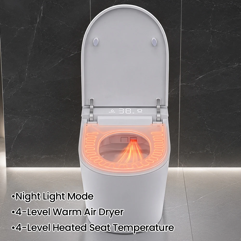 Sanyipace Siège de toilette in - Non Electric Bidet Attachment Dual Nozzle avis et prix