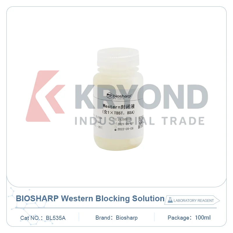 Biosharp BL535A Protein Membrane Blocking Buffer Western Blot Immunoblot Assay Laboratory Reagent Research 100ml Solution Use