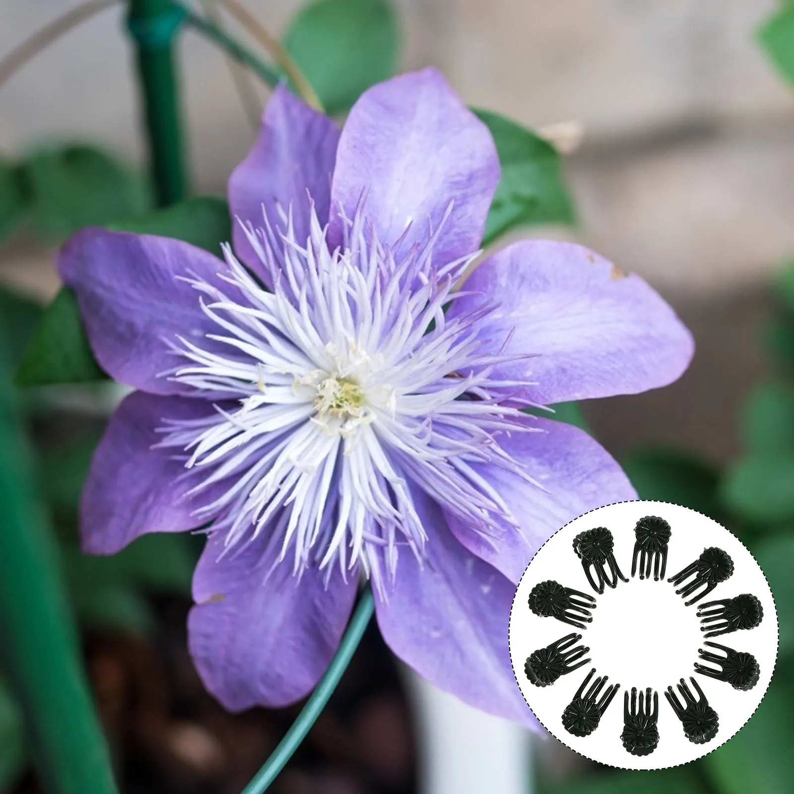 

10Pcs Orchid Plastic Clips Easy Use Plant Support Clips Secure Stems for Climbing Vines Tomato Beans Garden Supplies