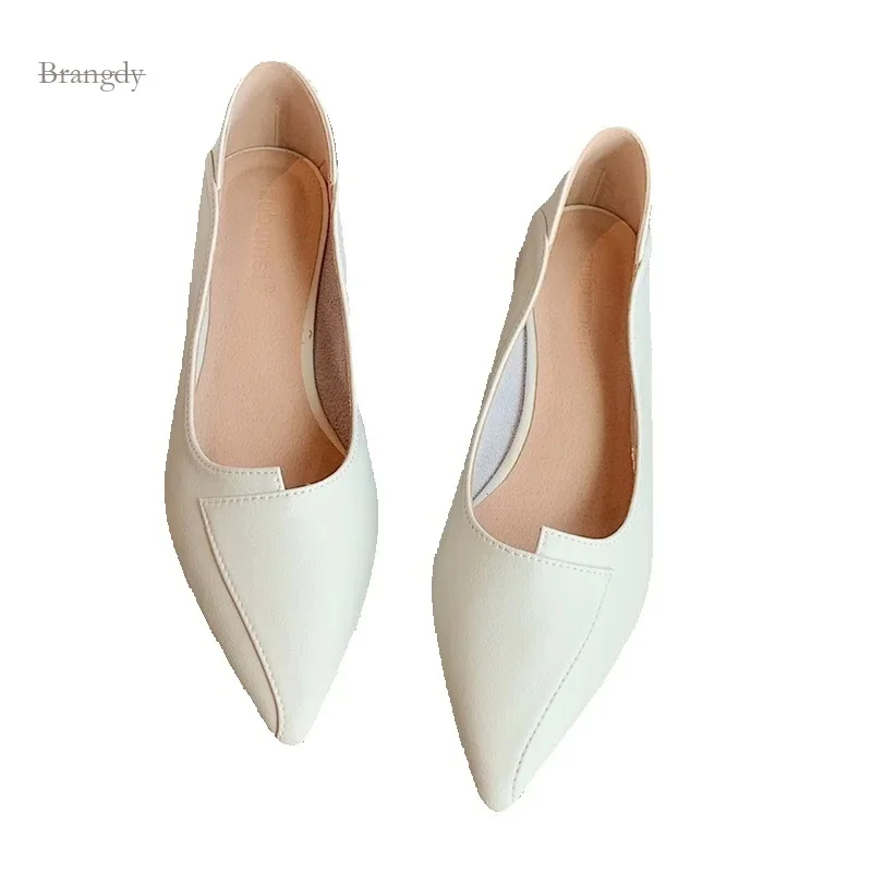 Korean Edition Pointed Leather Soft Sole Thick Short Heel Low Heels Two Wear French Single Shoes Women's Exquisite Atmosphere