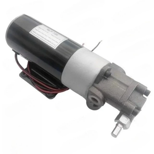 

Wide Voltage (12V/24V) DC Oil Pump Set | Model Wypp730 for Engine & Equipment Lubrication