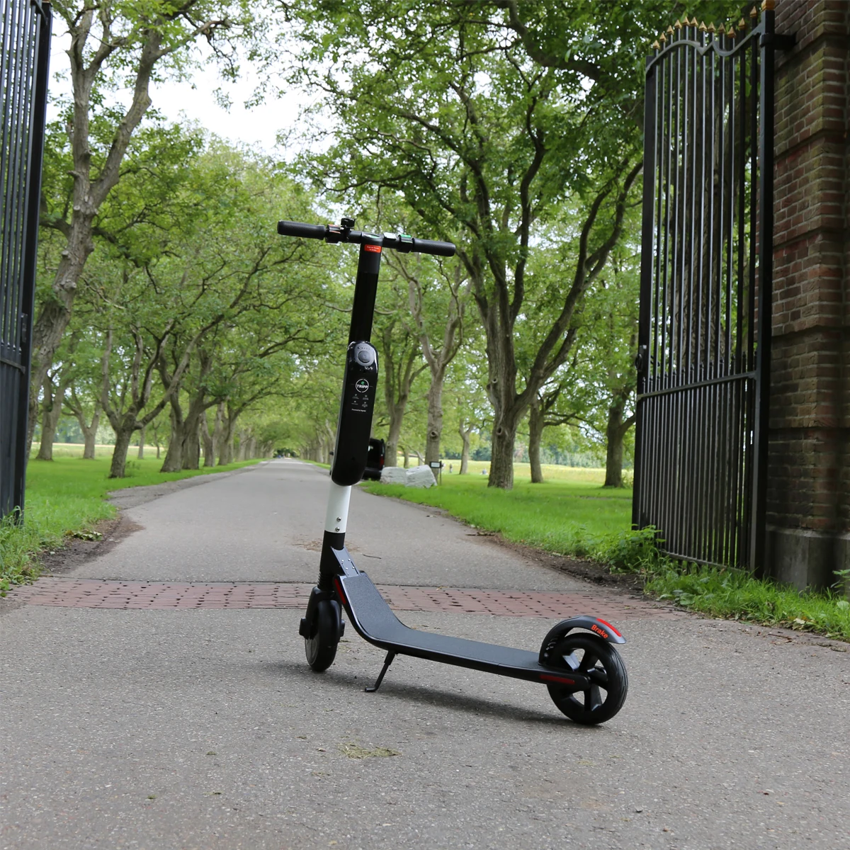 

Top Quality Best Selling LED Display Electric Brake Scooters for Kids Long Range 300W Powerful Electric Skateboards for Golf