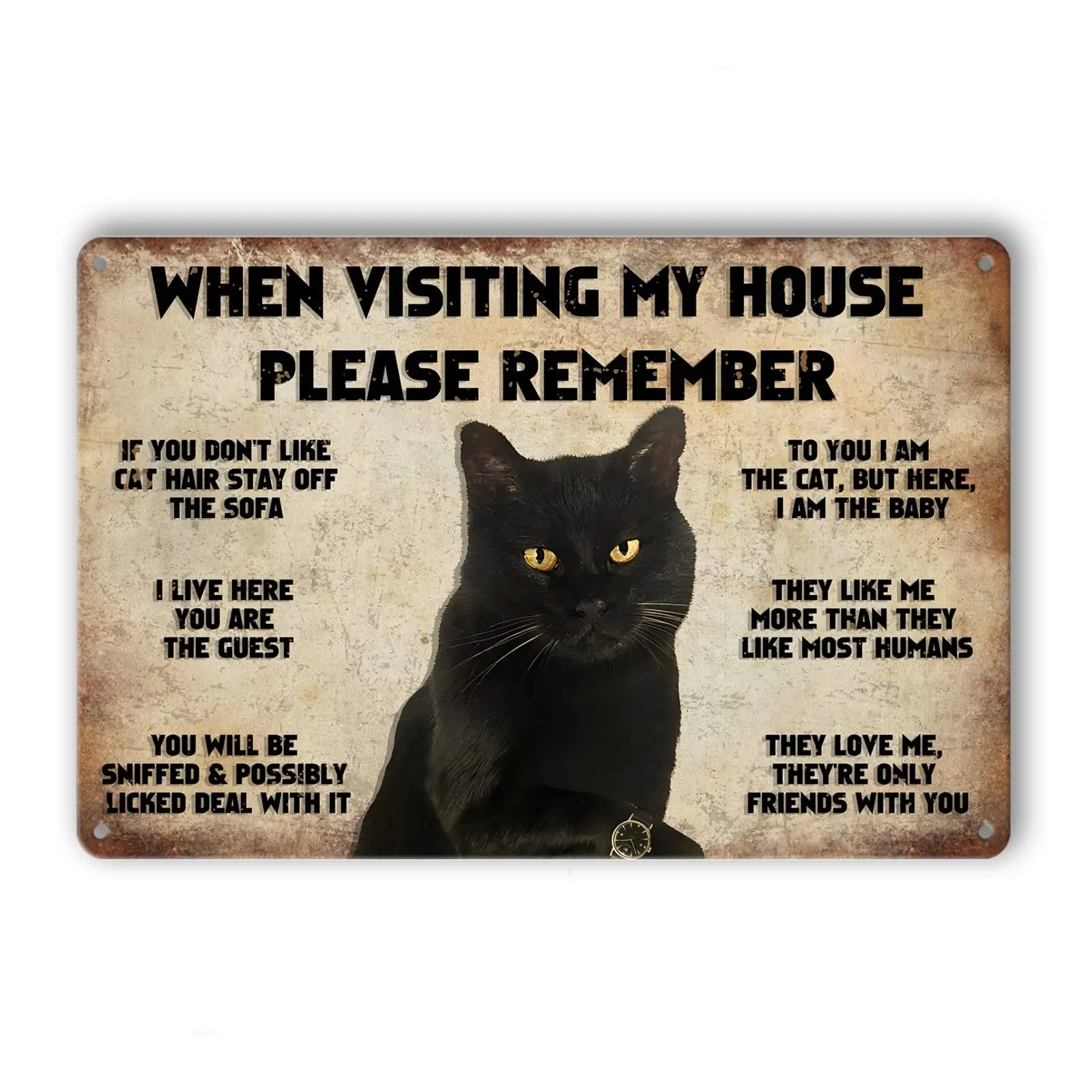 Cat Metal Tin Sign Cat Wall Art When Visiting My House Please Remember Tin Signs Vintage Funny Black Cat Print Poster Wall  sign