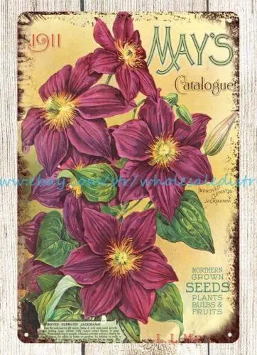 1911 May's Northern Grown Seeds clematis flower Bulbs Fruits metal tin sign