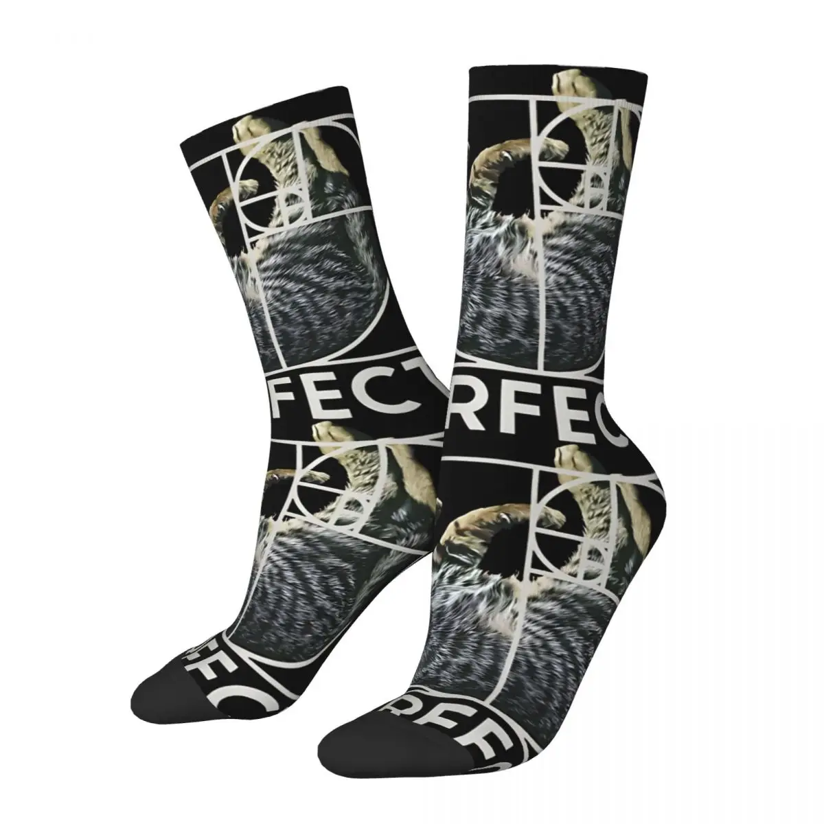 Hip Hop Vintage Attractive Crazy Men's compression Socks Unisex Fibonacci Street Style Seamless Printed Funny Novelty Happy Crew