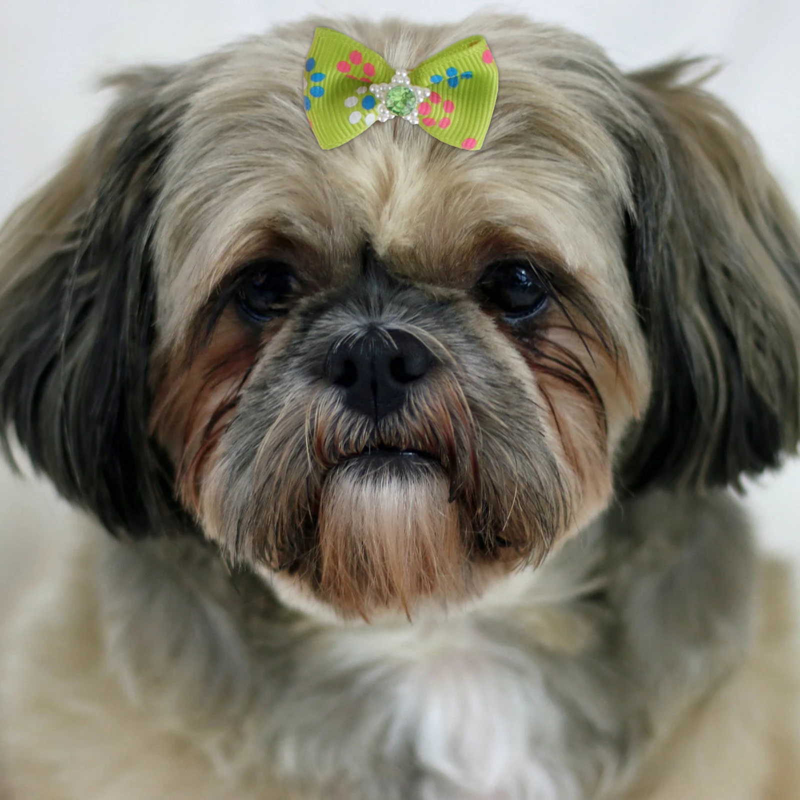 

20pcs Pet Bows Dog Hair Bowknot Durable Reusable Hair Accessories For Pets With Elastic Rubber Band Lovely Design For Dog Cat