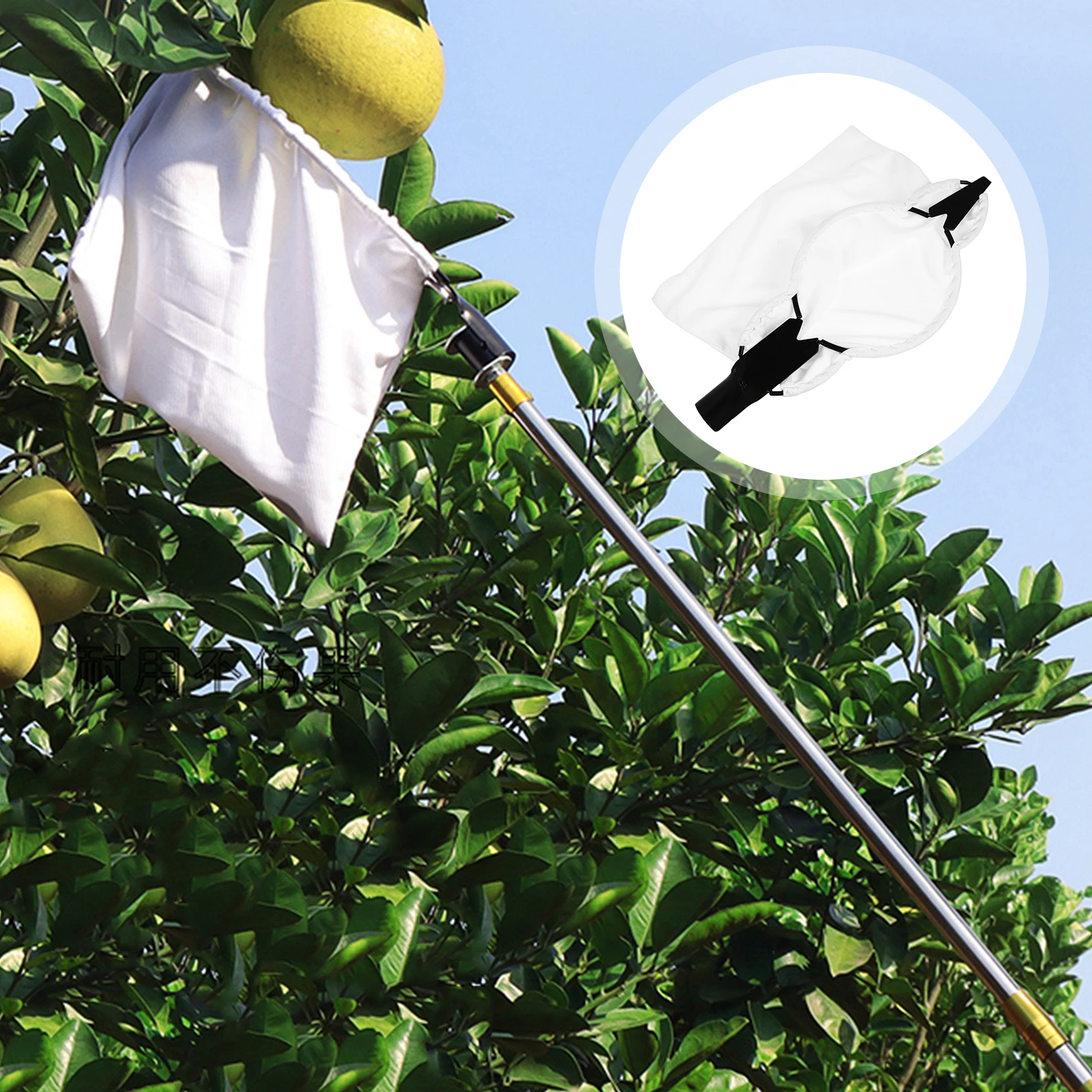 

Stainless Steel Fruit Picker Fruits Catcher Harvester Head Basket for Peaches Apples Elastic Bag Gardening Tool V shaped