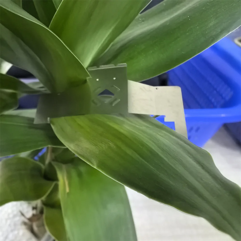 50PCS Ribbon Mask F…