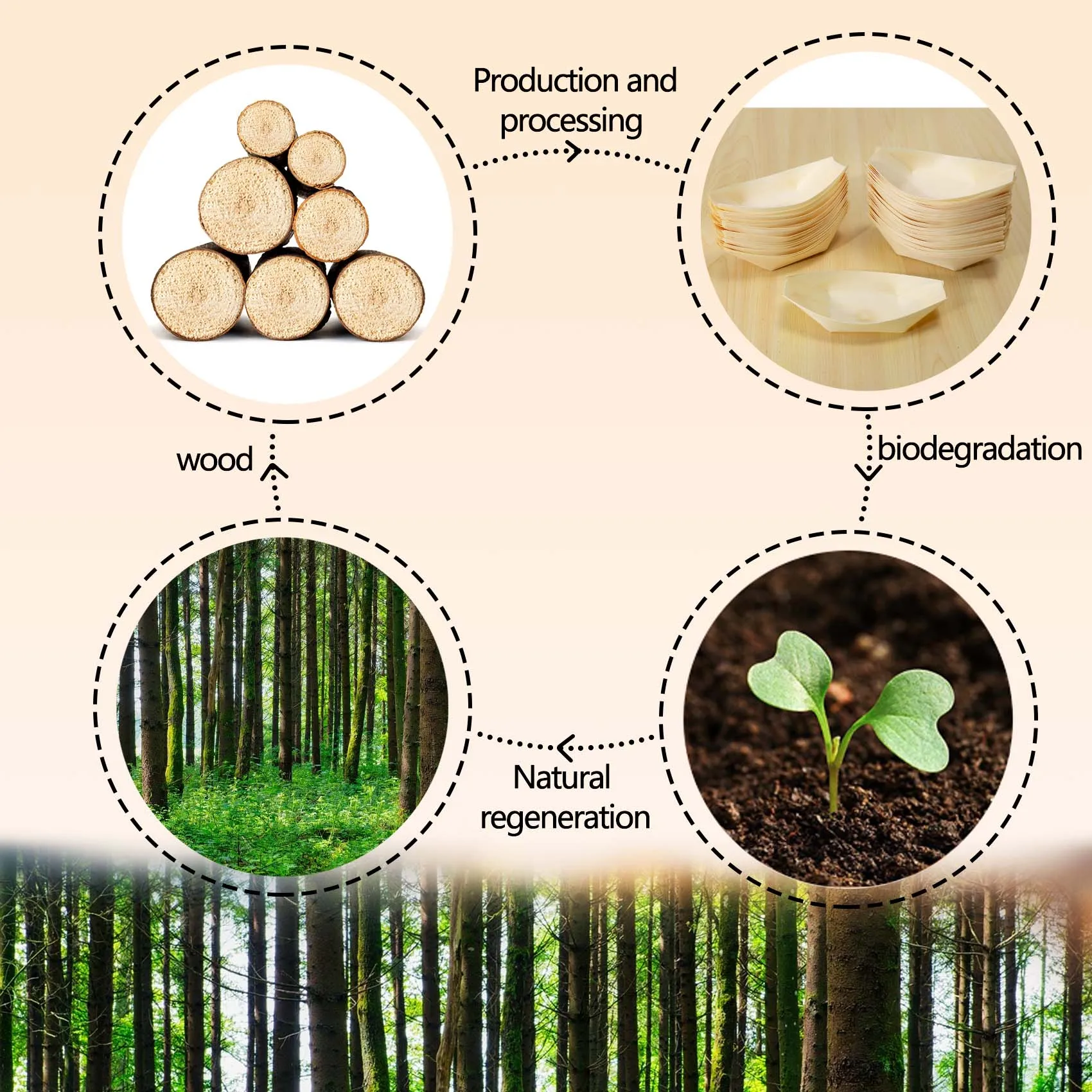 50x طعام أصابع - أوعية، "قارب" خشب قابل للتحلل 11 سم × 6.5 سم