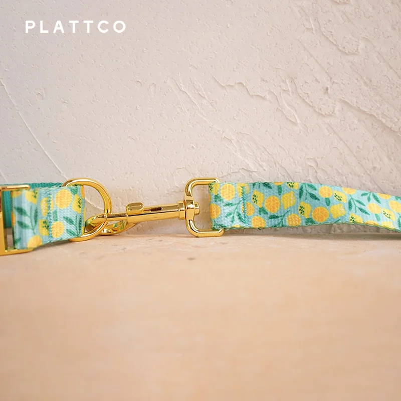 PLATTCO design unico guinzaglio per cani stampa LEMON TEASE pattern e fibbia in oro di alta qualità 5 dimensioni PDL329YG