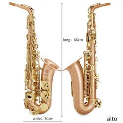 

SUMACH Saxophone Classics pure alto Beginner's grade examination performance