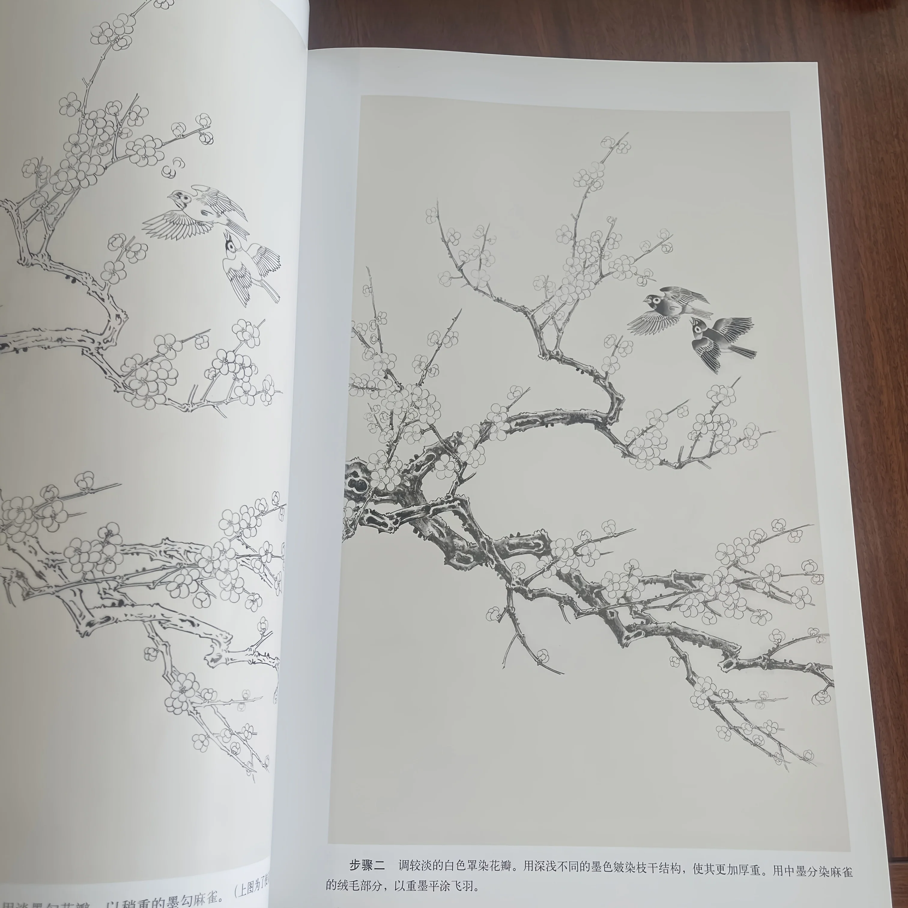 Complete Guide to Gongbi Plum Blossom Painting: Step-by-Step Techniques with Color Charts