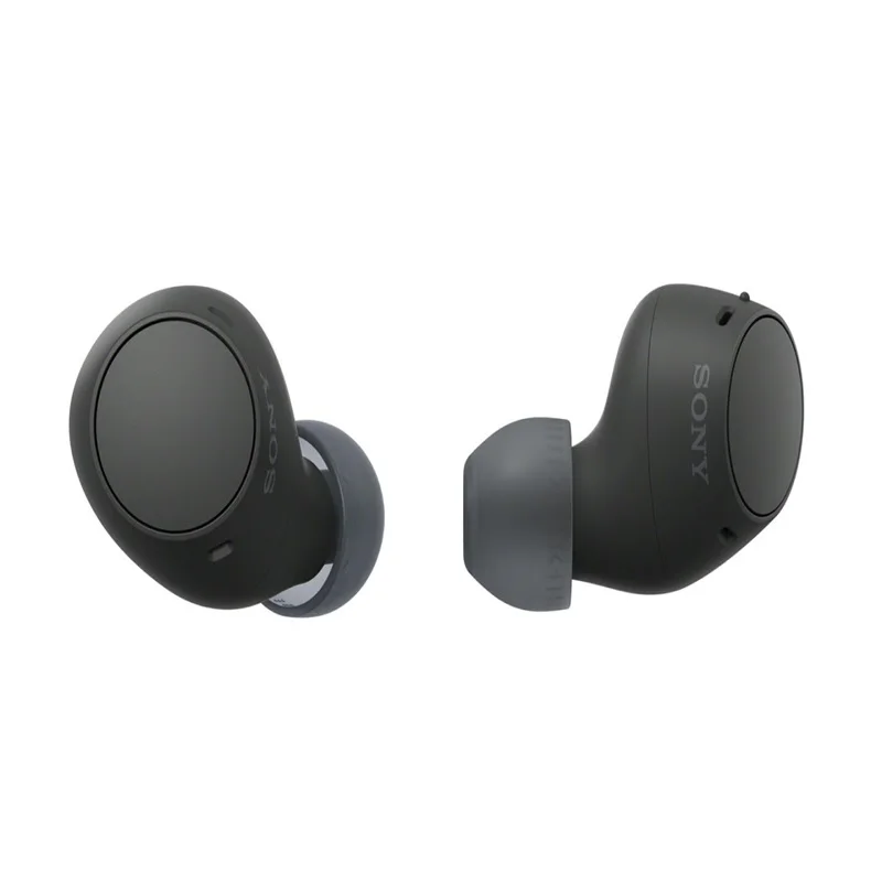 Sony WF-C510 Truly Wireless in-Ear Bluetooth Earbud Headphones with up to 22-Hour Battery, Multipoint-Connection,White/Black