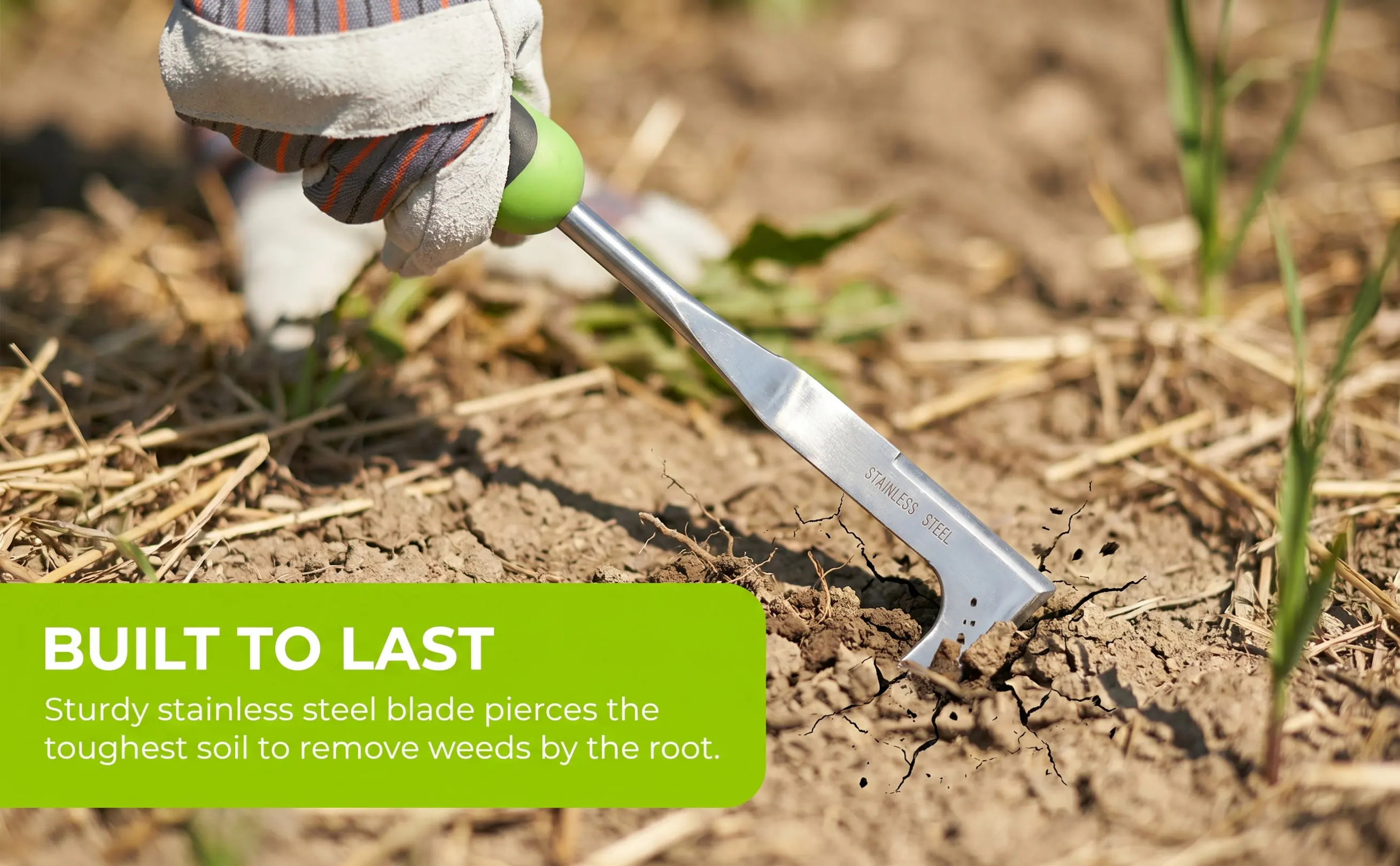 Heavy-Duty Stainless Steel Weeding Tool with Ergonomic Plastic Handle Ideal for Cracks Between Stones Brick Walls Root Removal